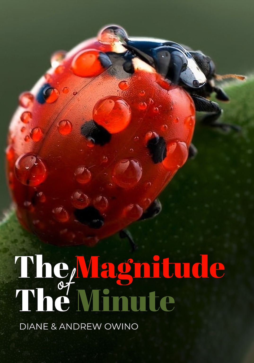 The magnitude of the minute